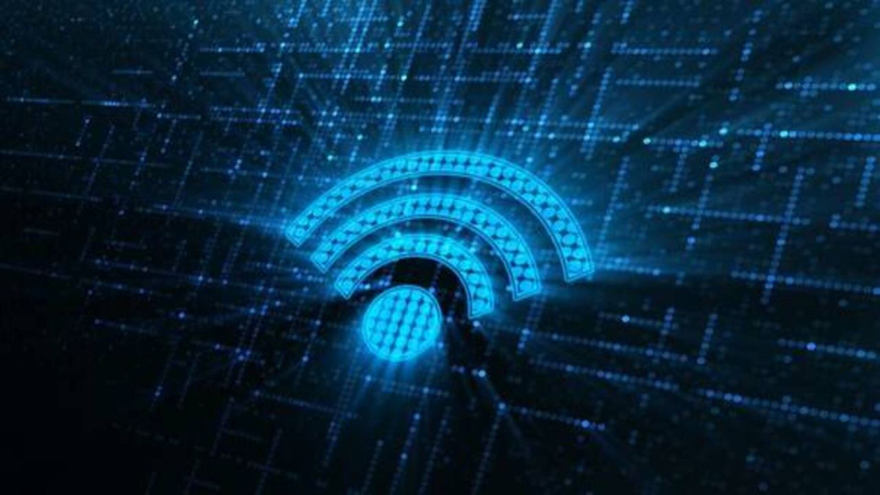 Slow Wi-Fi at home? Believe it or not, your houseplants might be to blame - and yes, we're serious