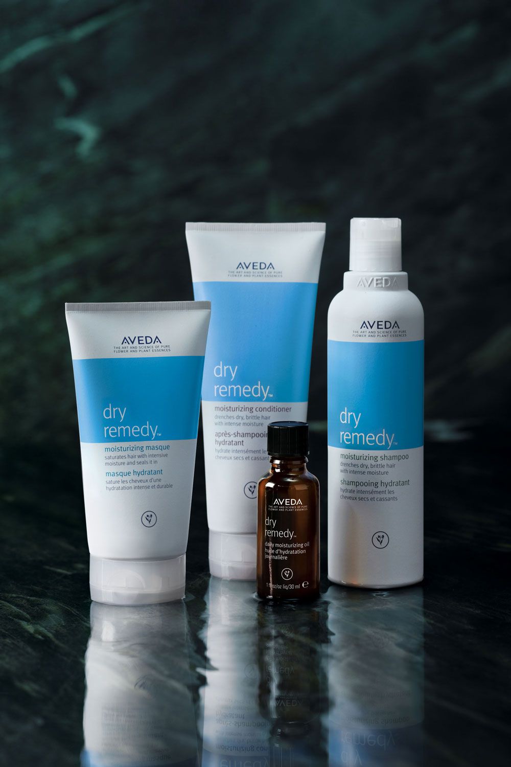 Aveda Dry Remedy Family