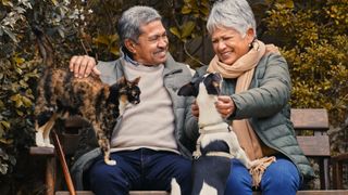 a calico cat spends time outside on a bench with their pet parents and dog companion