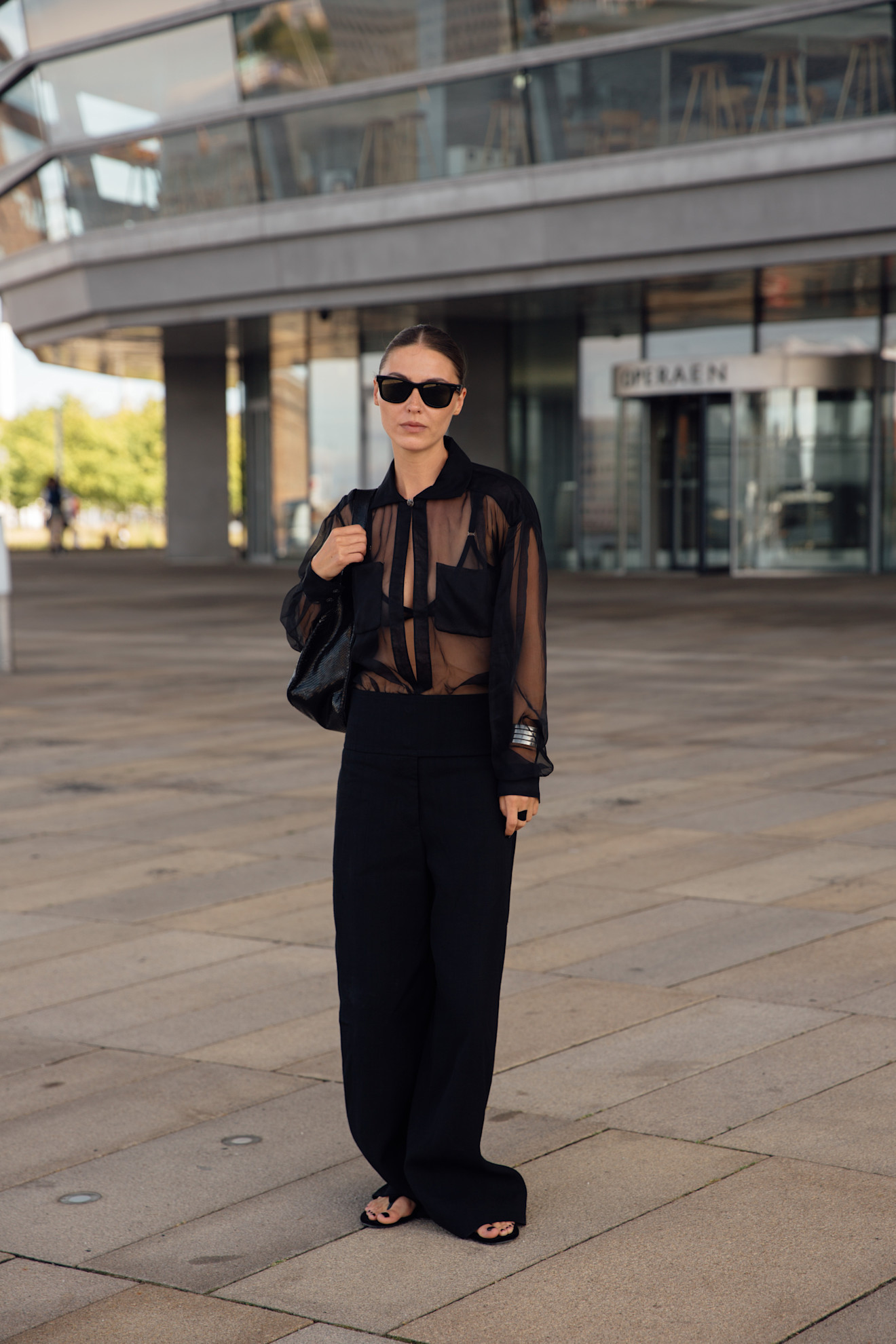 woman wearing sheer top and trousers
