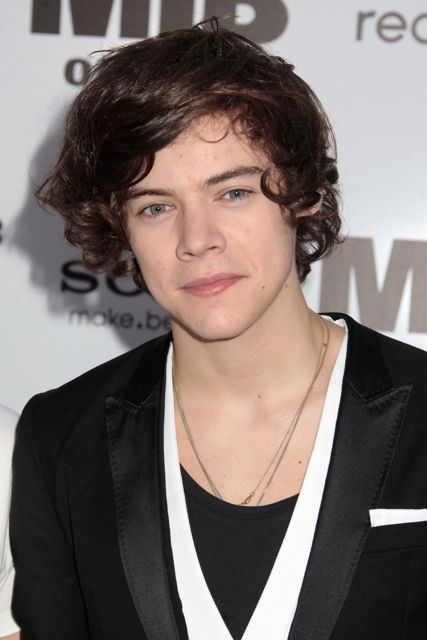 Harry Styles 