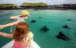 MY FAMILY AND THE GALAPAGOS