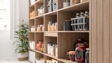 kitchen shelving with organizers and storage boxes