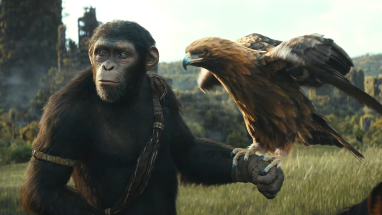 В преддверии «Царства планеты обезьян» IMAX рассказал о ремастеринге цифровых медиа