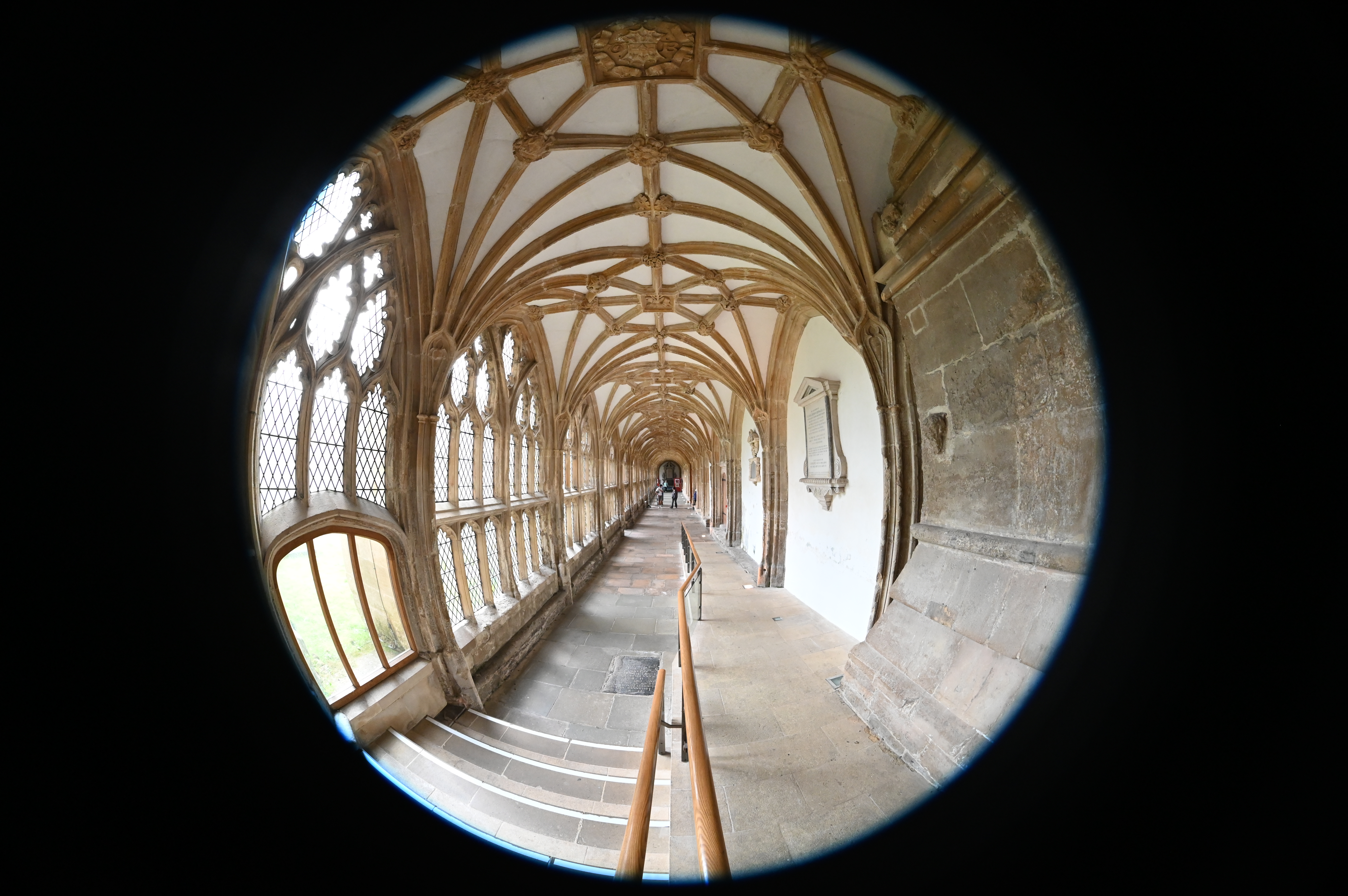 Laowa 8-15mm f/2.8 FF Zoom Fisheye example shot