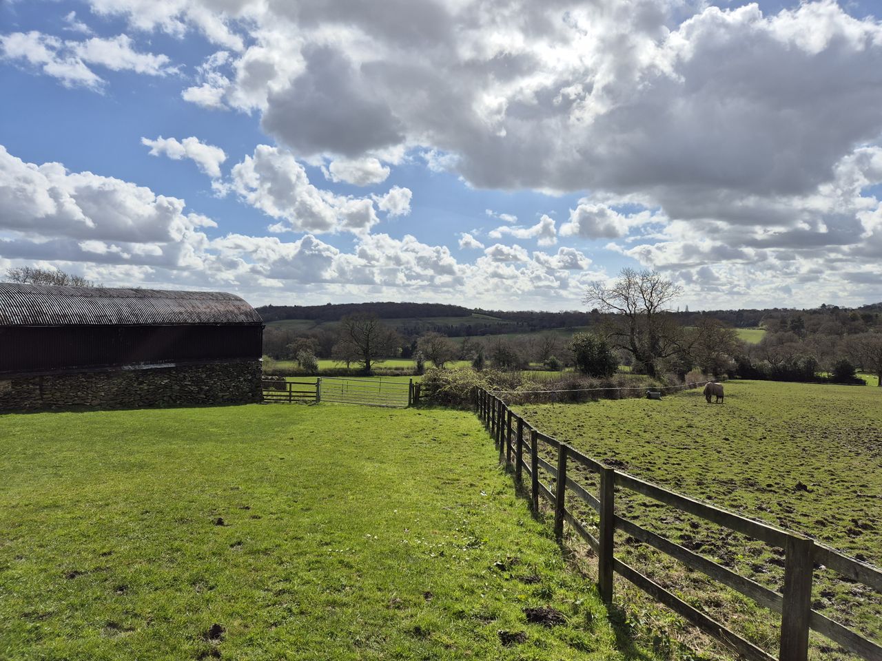 A green field in sunshine