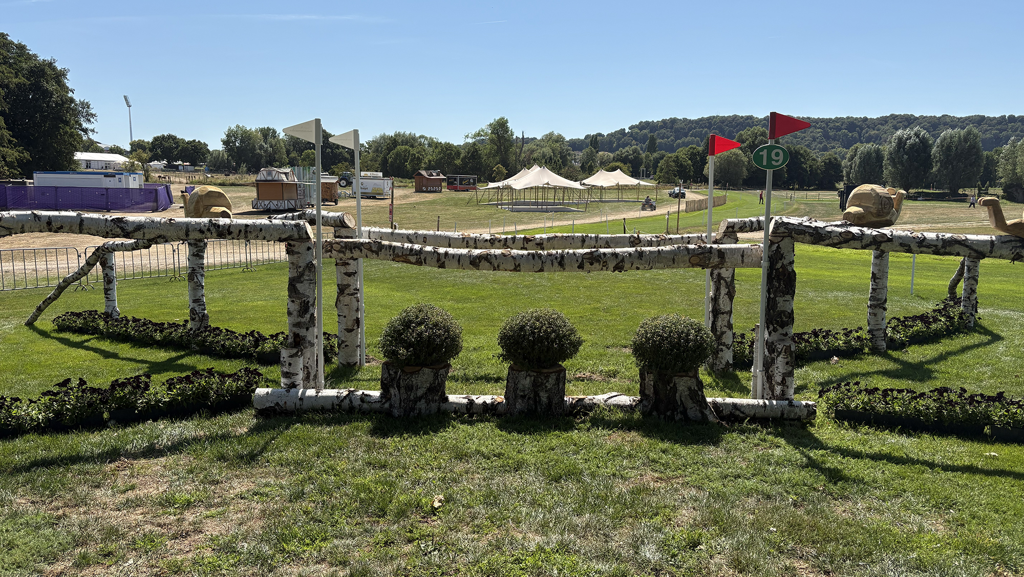 A silver birch oxer on the eventing World Championships cross-country course