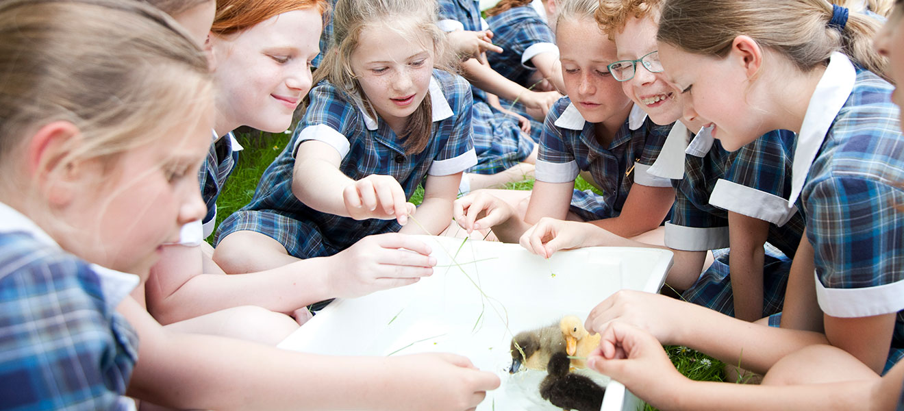 Malvern St James Girls’ School