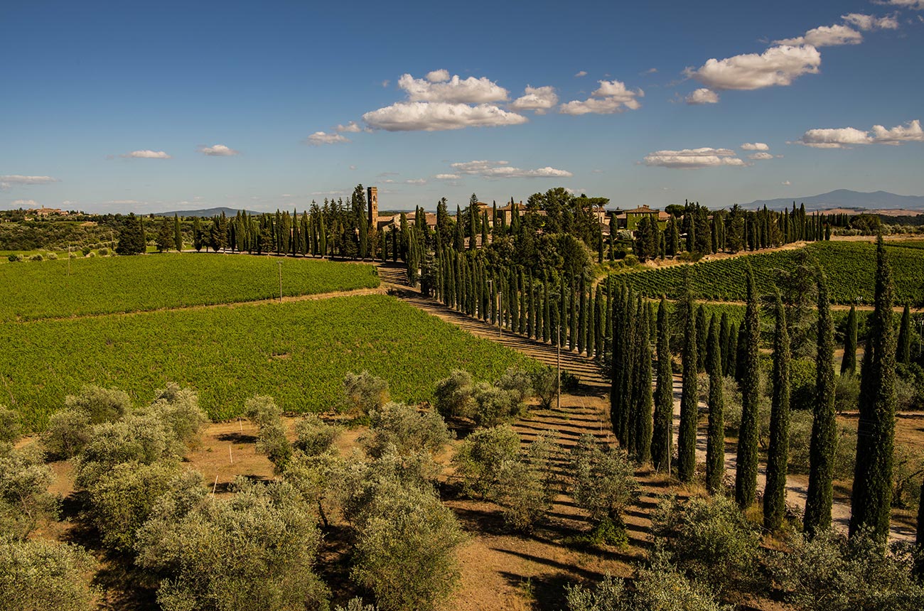 SanFelice_panoramica-vigne-dalle-Bonce.jpg