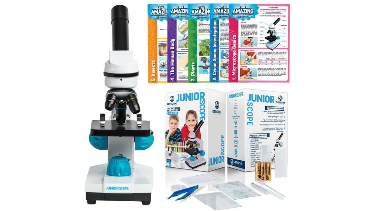 Best Microscopes For Kids 2023 | Live Science