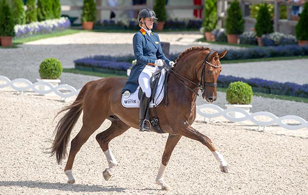 AACHEN2018_DR_CDI_GP_NED_WITTE-VREES-16998.jpg