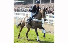 kauto-star-10-3-15-3.jpg