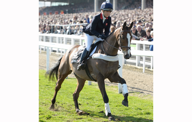 kauto-star-10-3-15-3.jpg