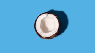 Coconut half on a blue background