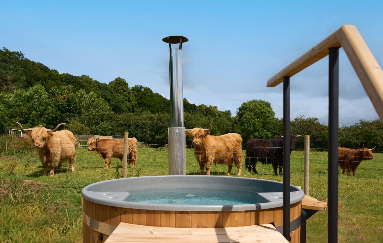 The Barnsdale in Rutland pictures