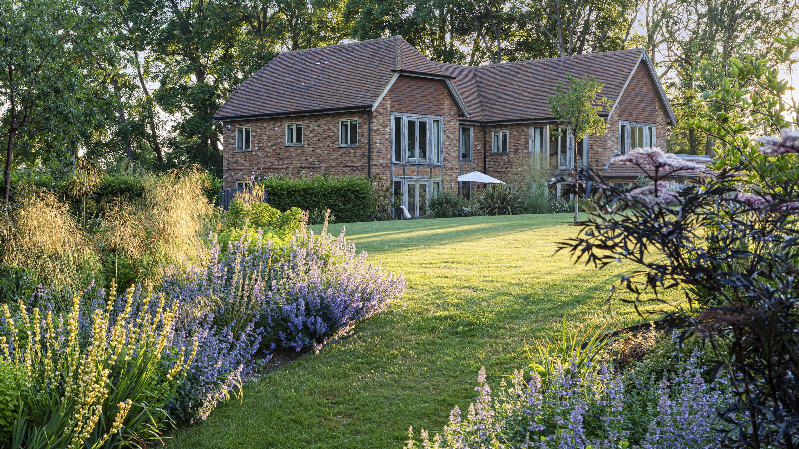 I'm a grass expert and this is how to kill weeds in grass without ...