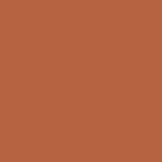 Benjamin Moore Rust 2175-30 sample