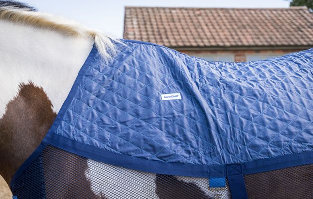 Aerochill Cooling Rug review