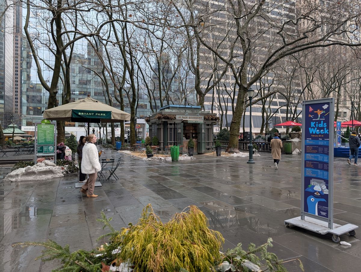 Google Pixel 9 Pro XL daytime sample.