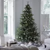 Fir Christmas Tree