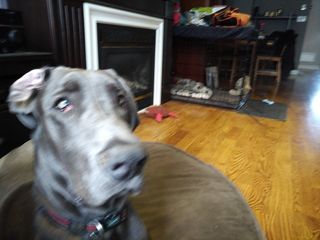 BlackBerry KEYone low light sample photo