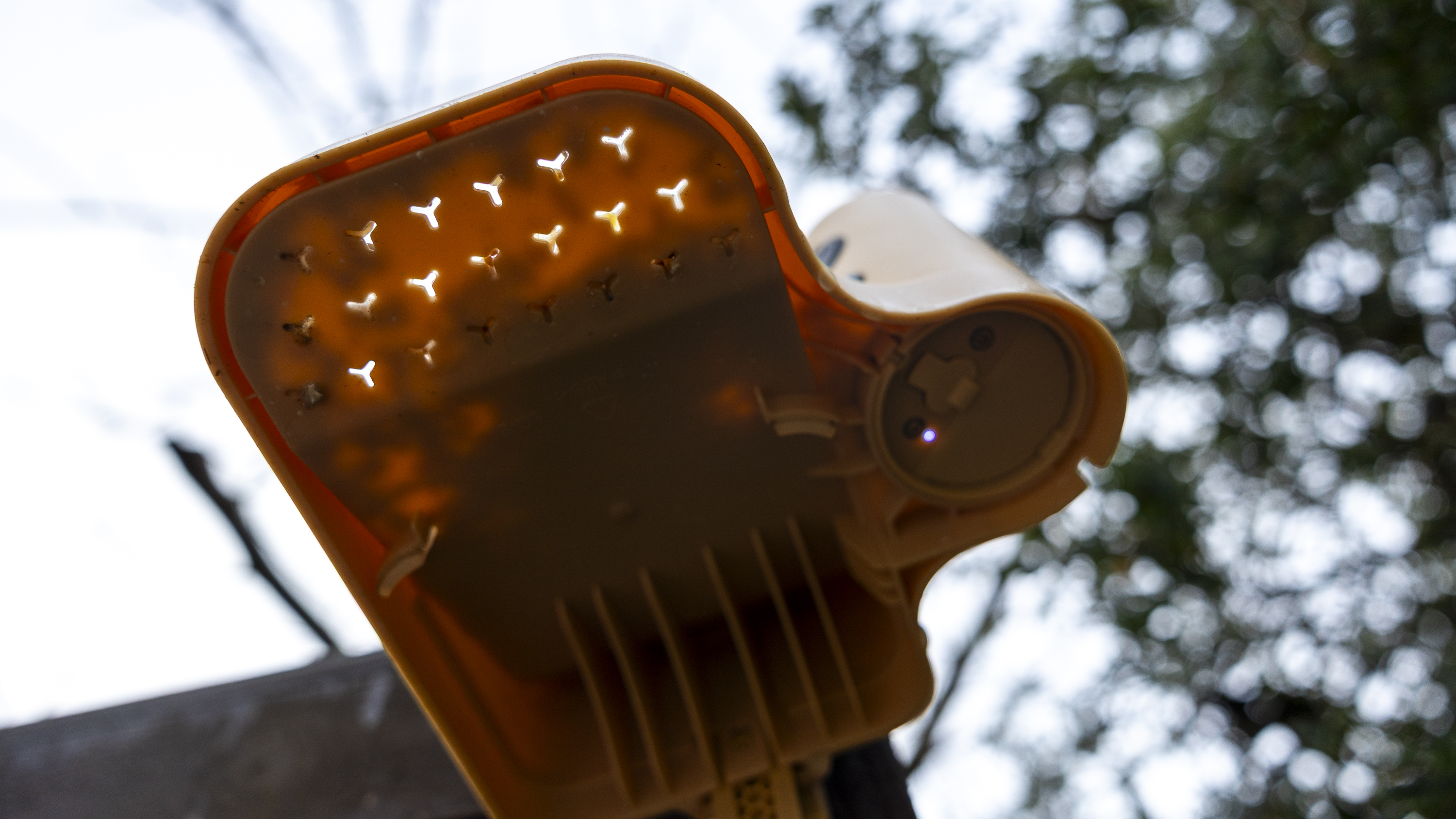 The Birdfy Rookie feeder attached to a brown fence in a UK winter garden
