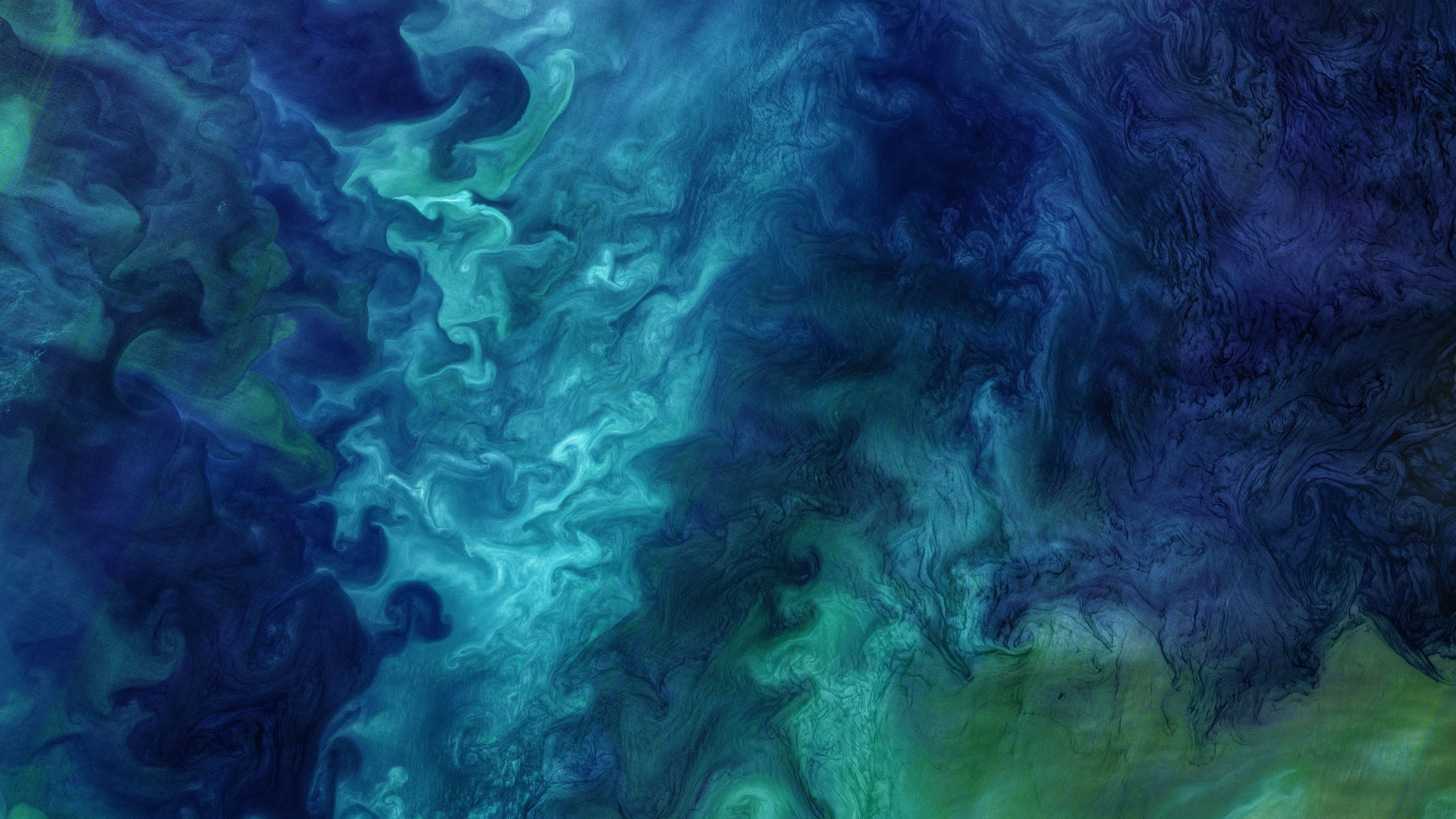 A massive, swirling phytoplankton bloom near the surface of the Chukchi Sea, where researchers discovered the new bottom blooms, captured by the Landsat 8 satellite on June 18 2018.