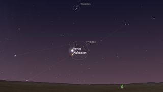 When Venus reaches its greatest brightness on July 10, 2020, it will rise into the predawn sky in the constellation of Taurus, the bull, near the bright star Aldebaran.