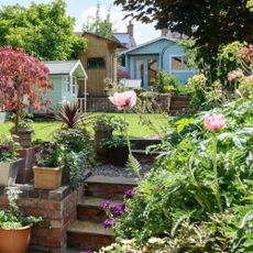 Summer garden with wooden table and chairs, plants, steps trees and shed