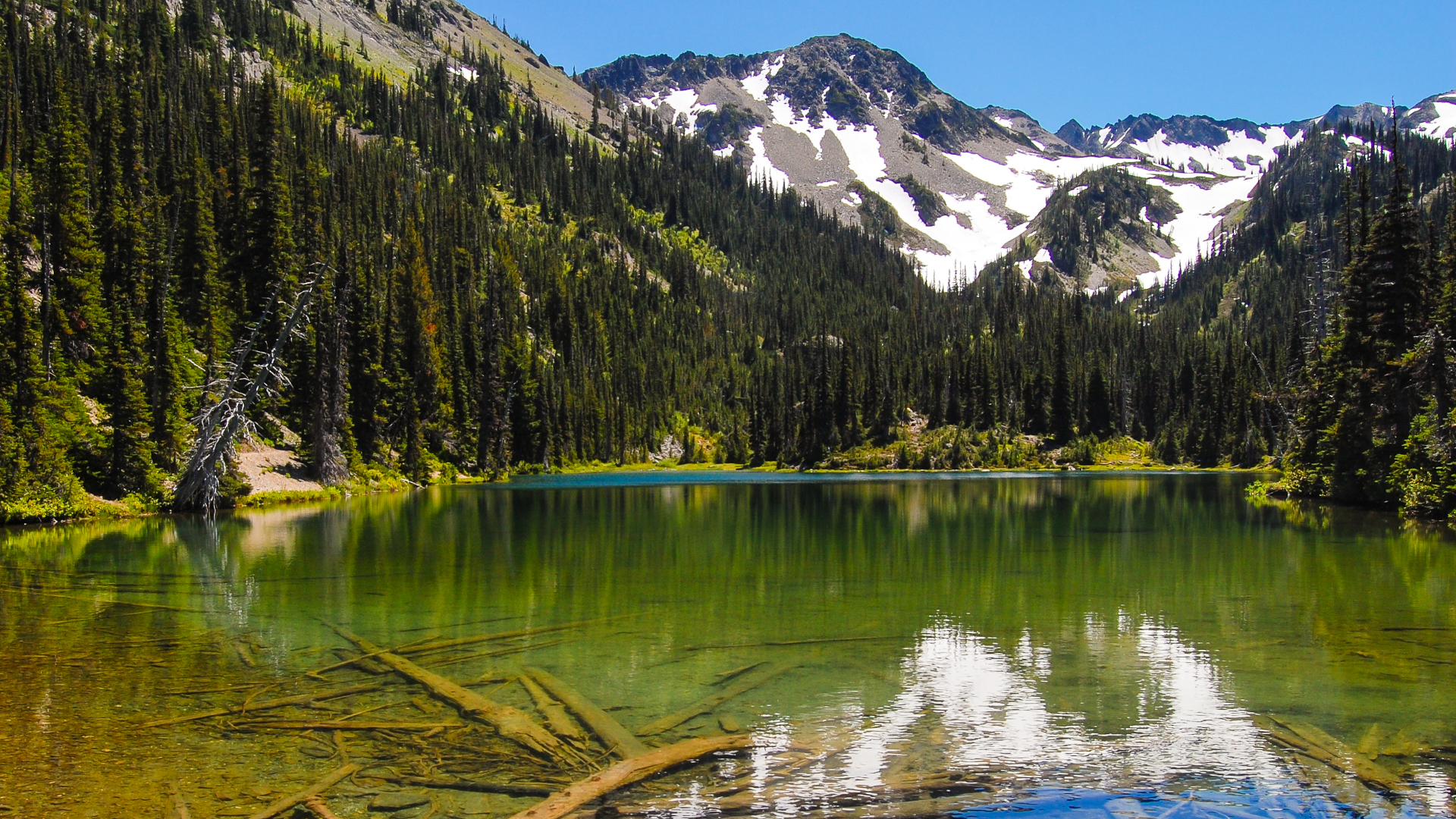 Best hikes in Olympic National Park: sandy strolls, rainforest rambles ...