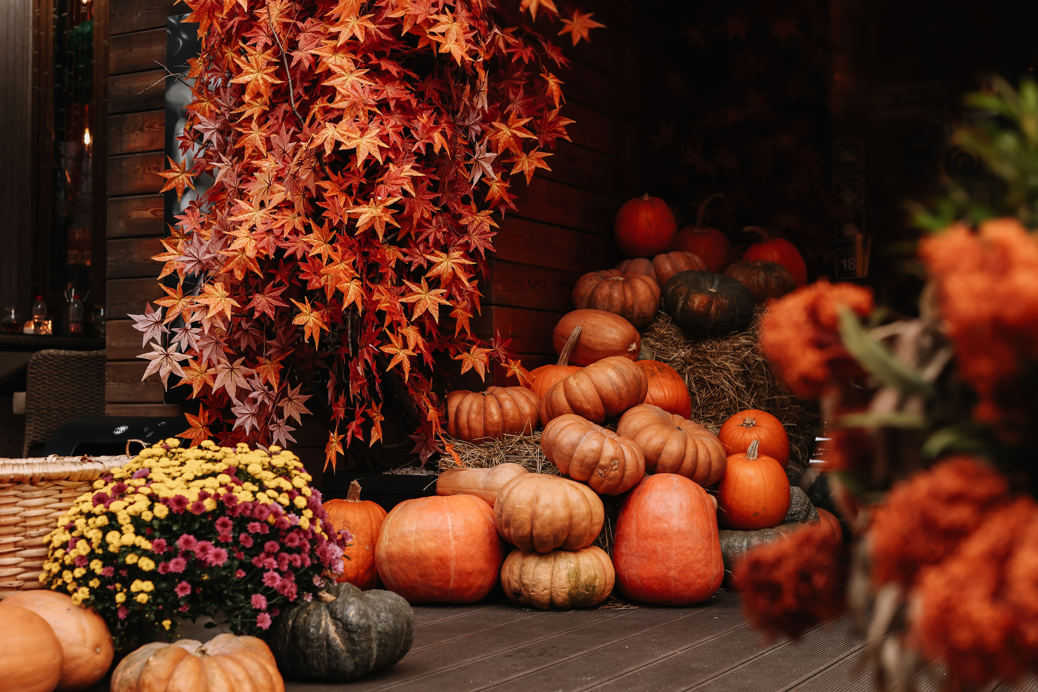 Pumpkins in a house