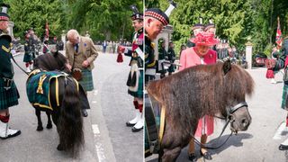 King Charles and Queen Elizabeth with Cruachan IV on different occasions