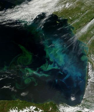 A springtime phytoplankton bloom created these blue and greenish swirls dancing in the waters in the Bay of Biscay, off the western coast of France.