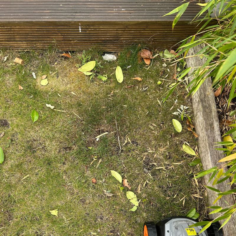 Vonhaus Cordless Lawn Mower 40V - before collecting leaves in a spot of grass