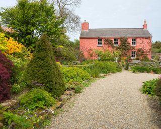 pink cottage with gravel driveway and planting