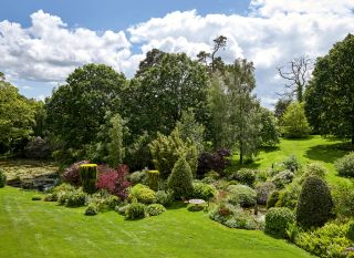 Garden view Photograph: Paul Highnam/Country Life Picture Library