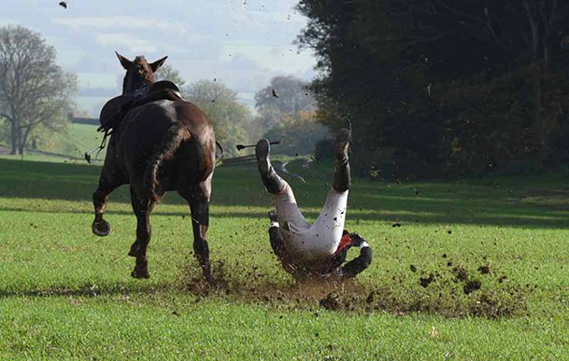 Good morning H&amp;amp;H - not sure if you'd be interested in these but here are a few pics from the Wheatland's opening meet on 31st Oct. The hedge flier is Sally-Anne Craig who is back in saddle following maternity leave last season! Regards, Katrina Shaw