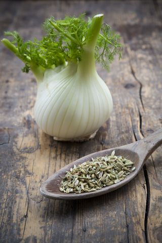 fennel bulb and seeds