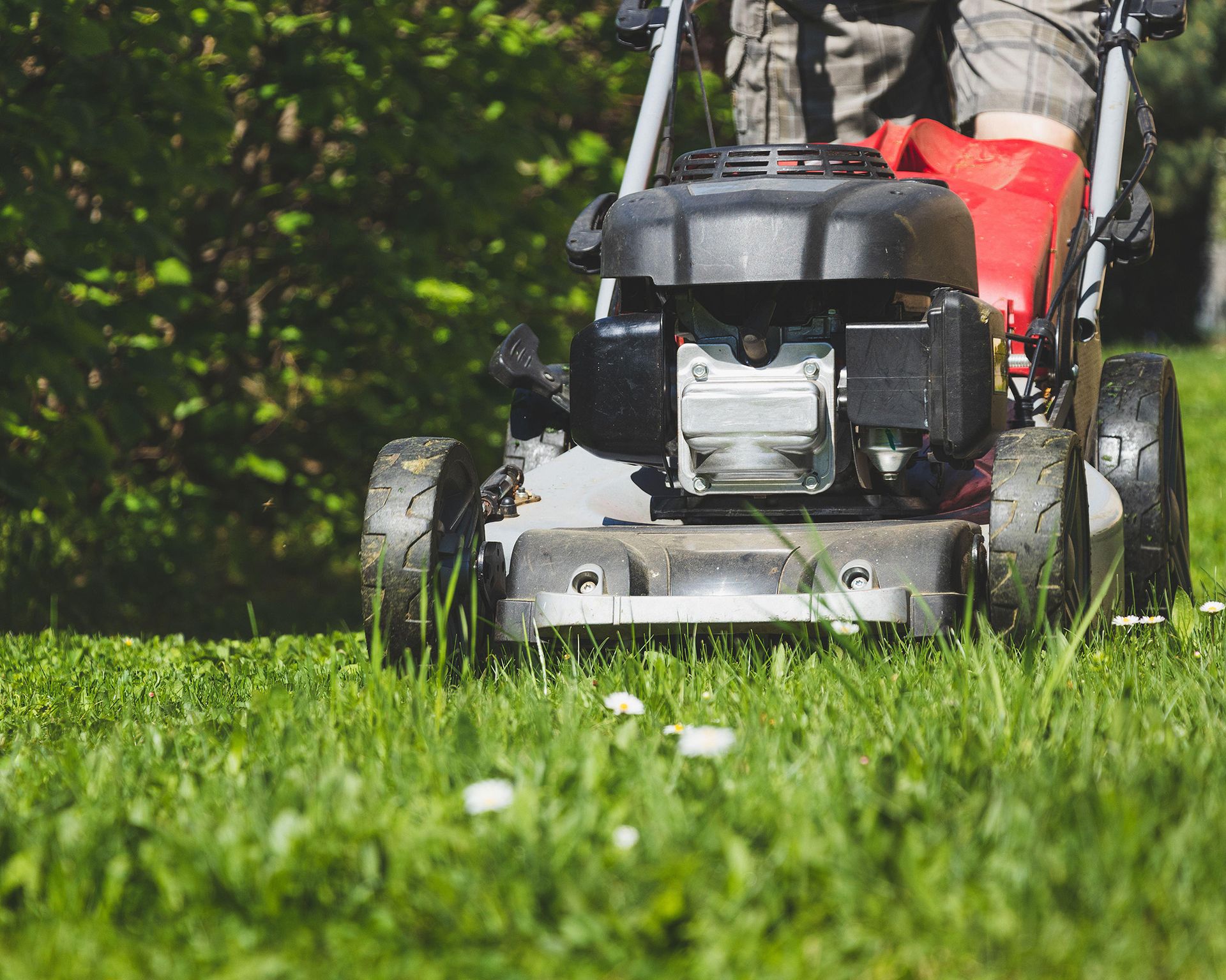 Gardener mowing the lawn
