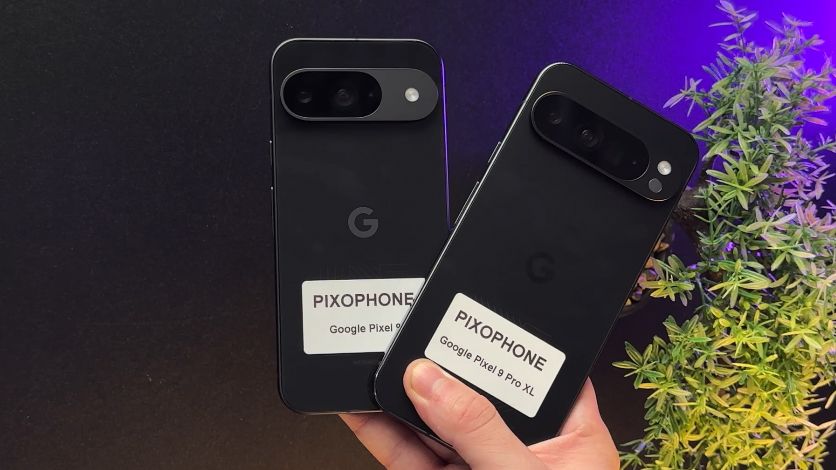 Google Pixel 9 Pro XL and Pixel 9