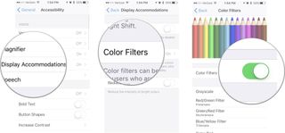 Tap Display Accommodations, then tap Color Filters, then turn off Color Filters