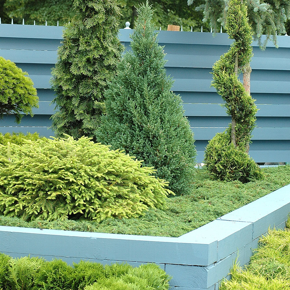 garden area with blue fence and plants