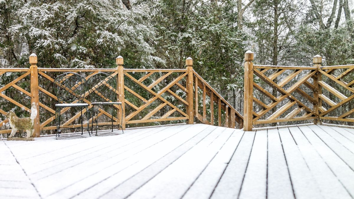 Garden experts warn against walking on your patio on January 29th – here's why