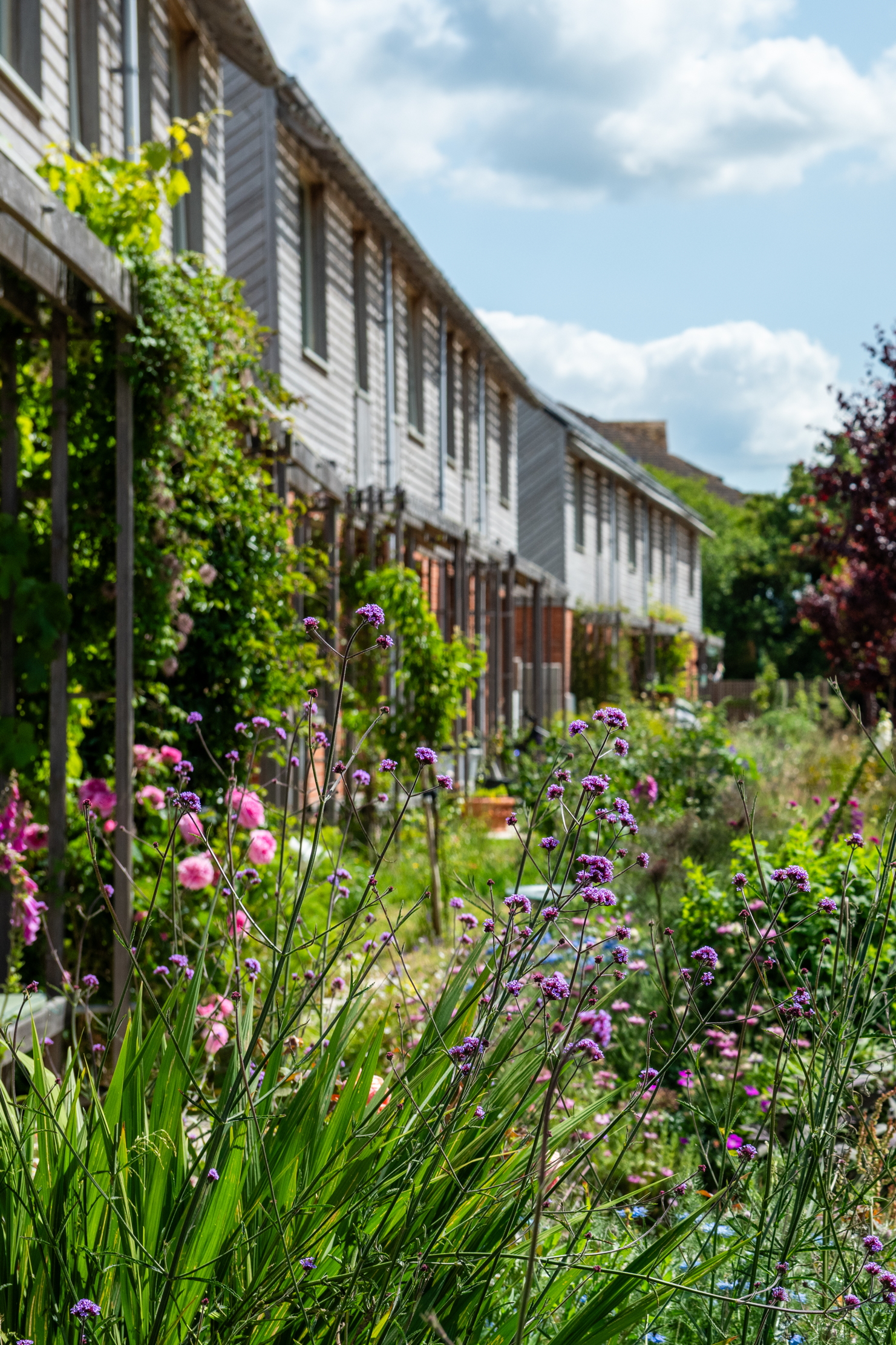 Images of the community housing development at Hazelmead
