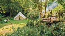 &copy;&nbsp;Canopy & Stars