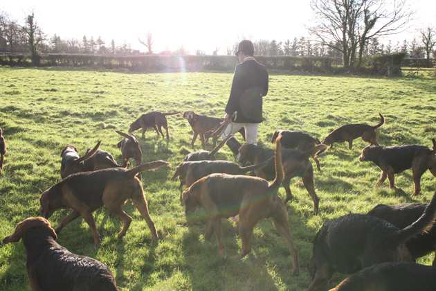 Scarteen Hunt in Ireland 2511 2014