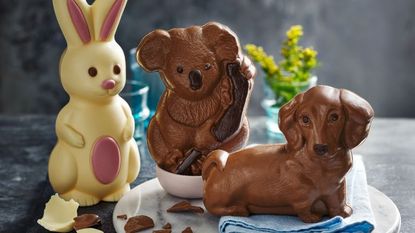 M&S chocolate sausage dog chocolate koala