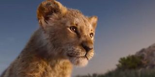 The Lion King trailer shot young Simba