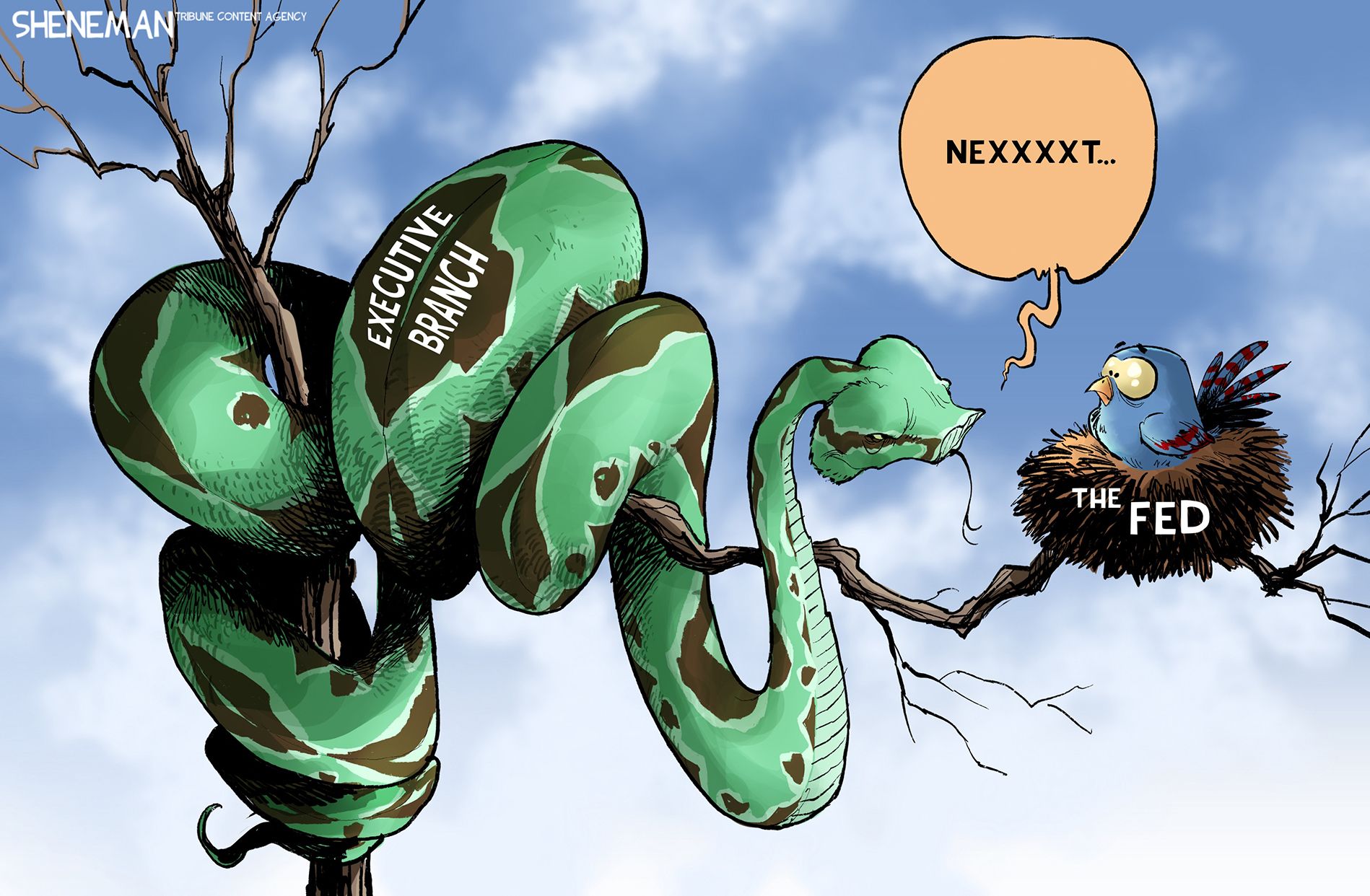 
                                A fat, menacing snake is labeled “Executive Branch” and looks stuffed from recent feedings . It is curled around a tree branch. A scared-looking bird is in a nest labeled “The Fed.” The snake says with a forked tongue, “Nexxxt.”
                            