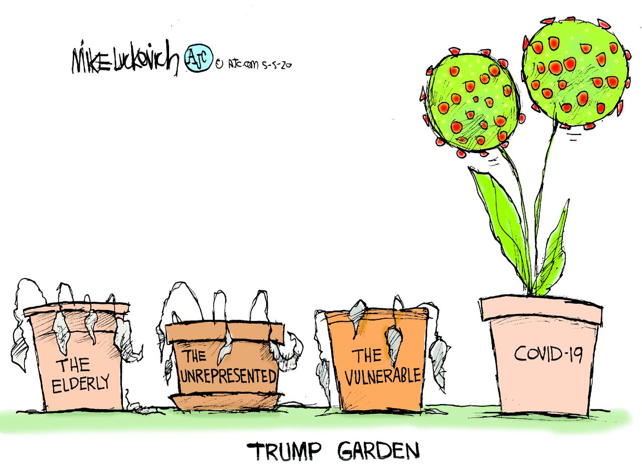 Political Cartoon U.S. Trump Covid garden deaths